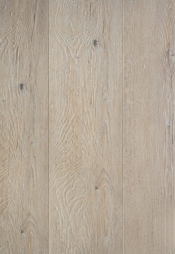 Glacier Timber