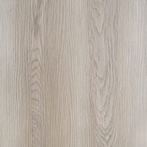 Sandbar Oak