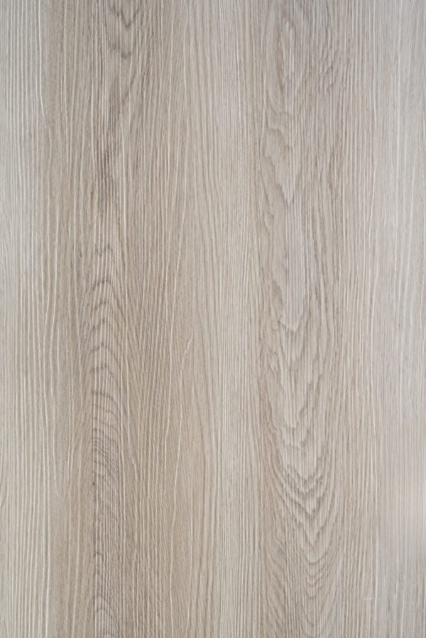 Sandbar Oak