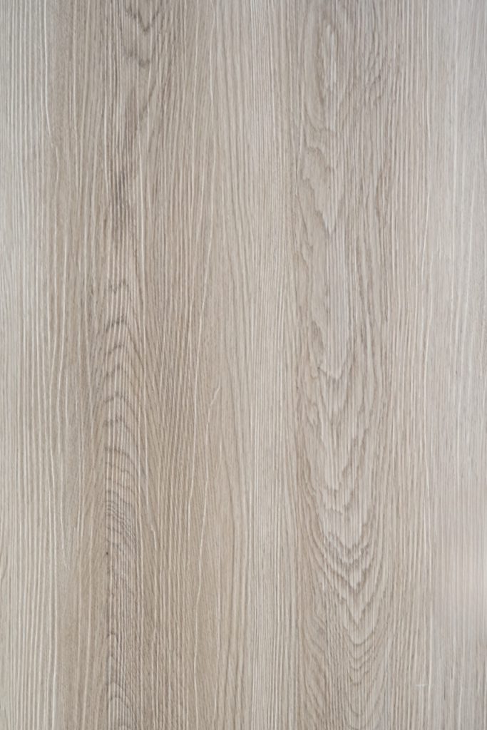 Sandbar Oak