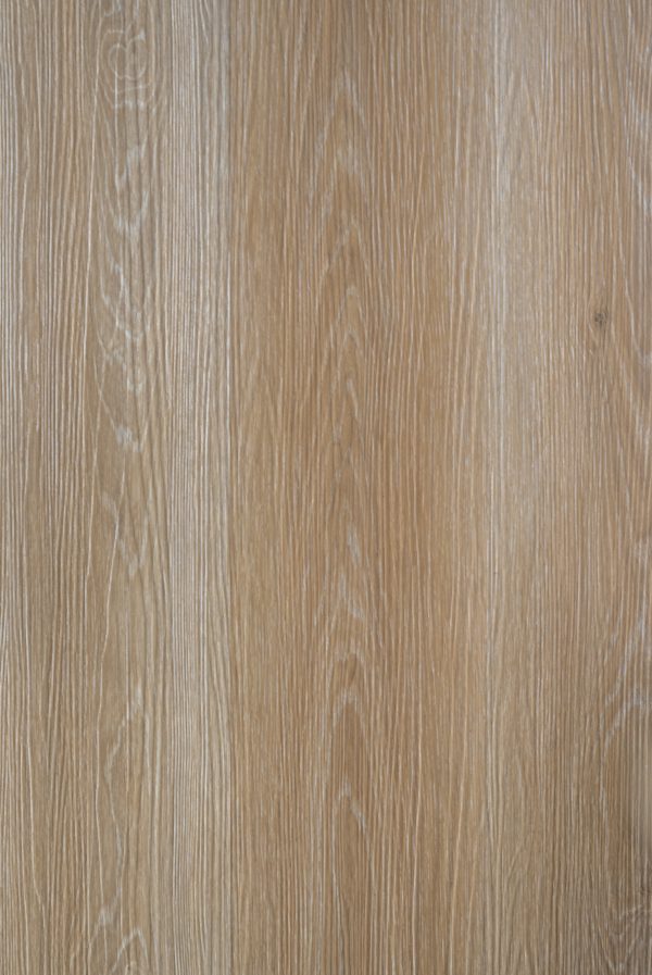 Goldenhaven Oak - Image 2
