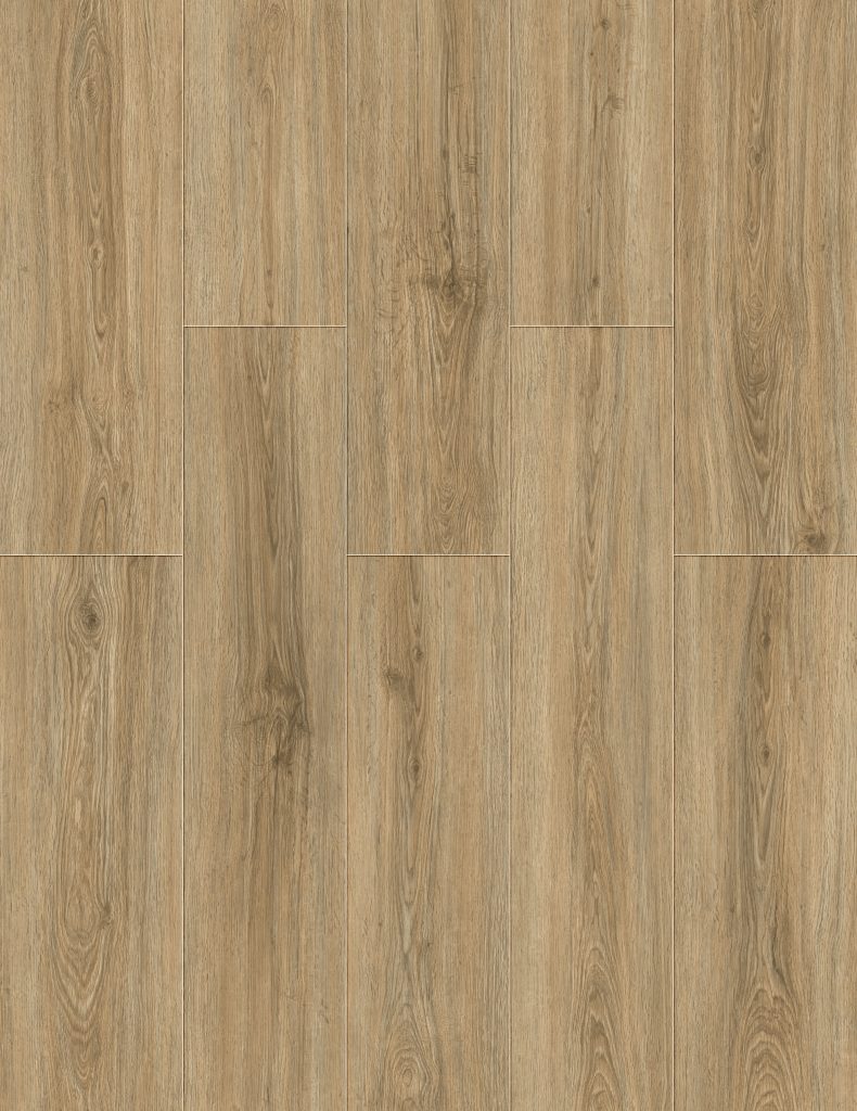 Tan Oak